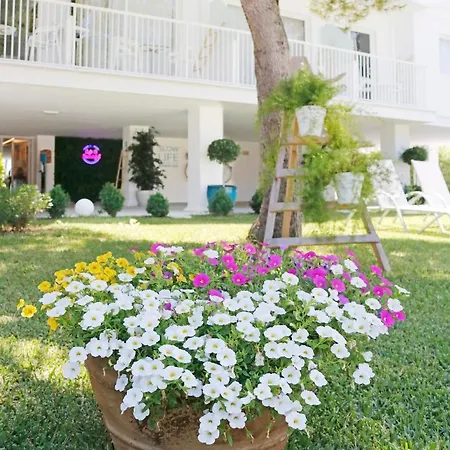 Bonavida 3* Port de Alcudia (Mallorca)