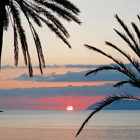 Bonavida Aparthotel Port de Alcudia (Mallorca)